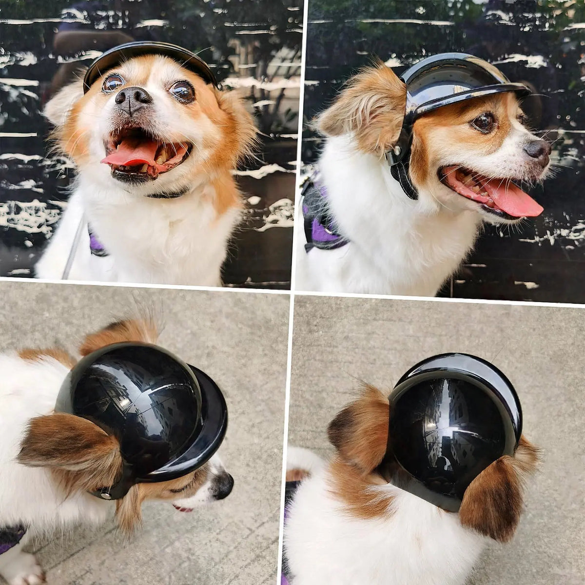Dog Helmet  for Small Dogs-Pet Motorcycle Helmet Hat  Adjustable Straps for Puppy Riding  Outdoor Cycling Equipment