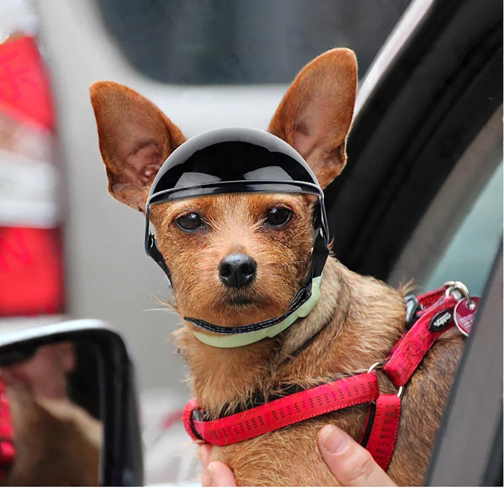 Dog Helmet  for Small Dogs-Pet Motorcycle Helmet Hat  Adjustable Straps for Puppy Riding  Outdoor Cycling Equipment
